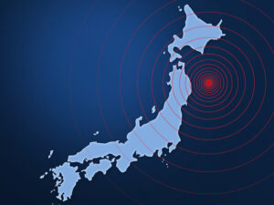 image-695c6bc602e8bd08c23cfc02