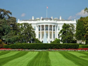 image-695c6c7f0d2b0695c6c7f0d2b11767664767695c6c7f0d2ae695c6c7f0d2af