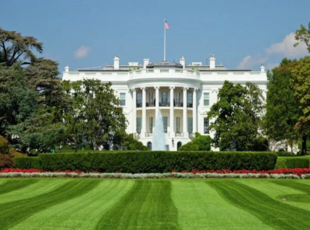 image-695c6c7f0d2b0695c6c7f0d2b11767664767695c6c7f0d2ae695c6c7f0d2af