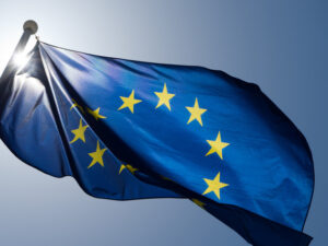 image-695cf0f7ae5ac9086b48d7ef