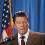 image-695dcd08ae5ac9203b4b06ea