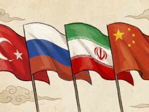 image-695e5bf502e8bd6c4b4b60e9