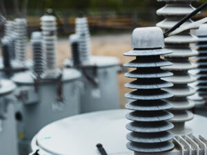 image-695f4ed202e8bd0e904a8141