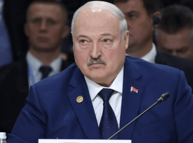 image-695ff49402e8bd6088359b08-1