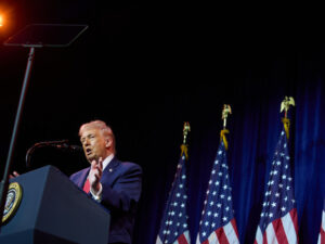 image-69600e43ae5ac902dc530ba8