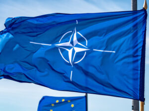 image-6961253002e8bd60305a0182