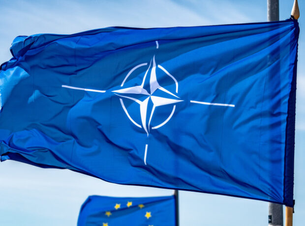 image-6961253002e8bd60305a0182