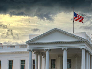 image-696b3c1402e8bd2b3006b144