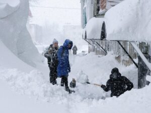 image-696da103ae5ac97f530bb5f1