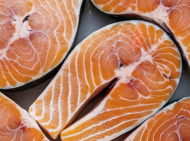 image-69720046ae5ac932c60e4ff0