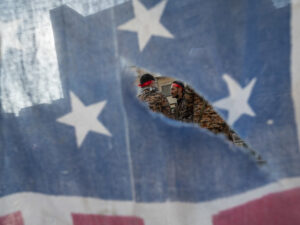 image-6976d271ae5ac9175f28e356