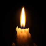 image-697bc8bf02e8bd214619cf61