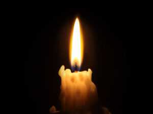 image-697bc8bf02e8bd214619cf61