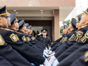 image-6w5kui6fup1vcdmpplfdr4nfvi1kgln7j6zzdicv_1200