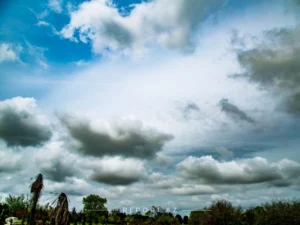 image-898ae9f1-66ce-3cb7-ab94-9101129d6671_825