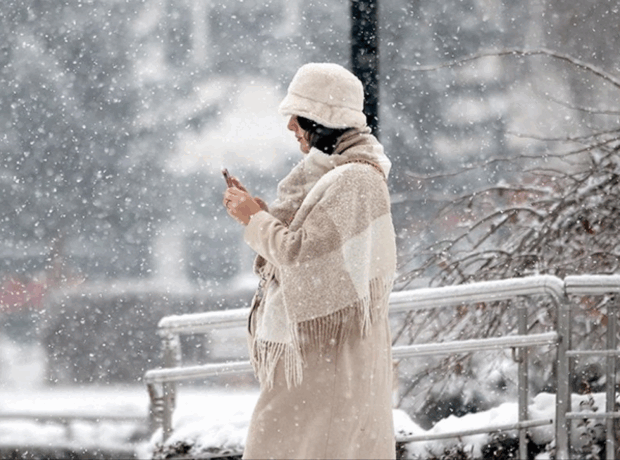 image-aac7a195ade0c1ba841ba235315966eb_a-hd510