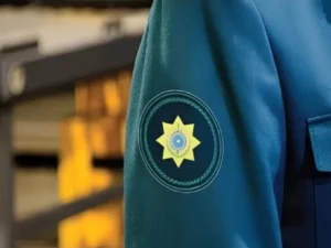 image-ekd0bduh9zbmzv2kawgprjxtkoveyz5ivcaidvrf_1200