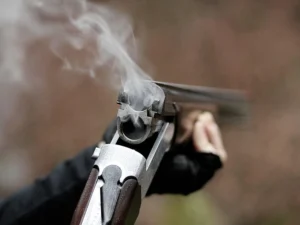 image-f717ebfe-6fef-3ceb-beee-46eeb1a1cce8_850