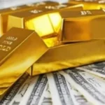 image-image_940x_693d03653cd10-1