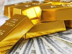 image-image_940x_693d03653cd10-1