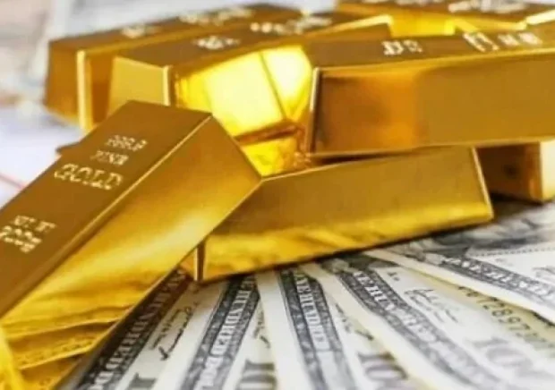 image-image_940x_693d03653cd10-1