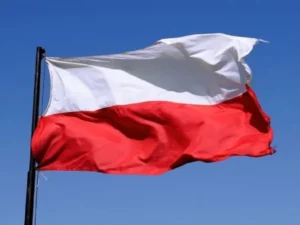 image-image_940x_6964eeb6d806a