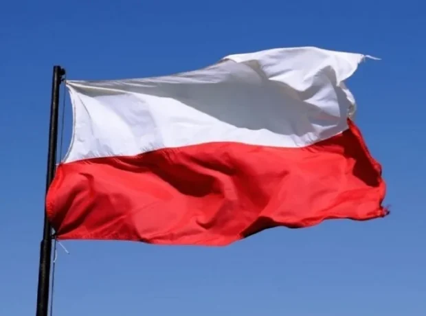 image-image_940x_6964eeb6d806a