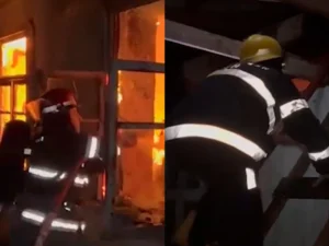 image-okzqb8x46kl8gjq1hnrdo6qikodqecsnxatx8t3u_1200