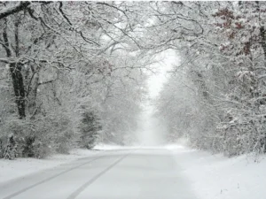 image-qarli-hava_1200