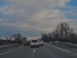 image-s6vkz02o41puftiaym7mivcjblp1bmfoitsryvhg_1200