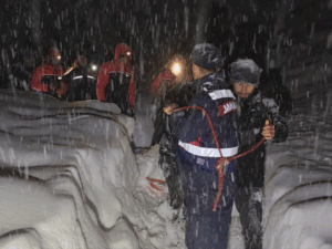 image-screenshot_2026-01-20_035909