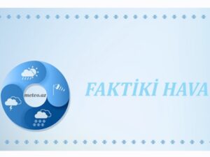 image-screenshot_20260111_141604_gallery