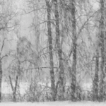 image-snowing-winter-1