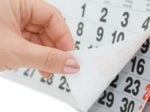 image-01kadet0mya9jyk18pr8erv3a2-large