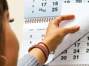 image-01kh8ahef2dbffc67tts1ner34-main