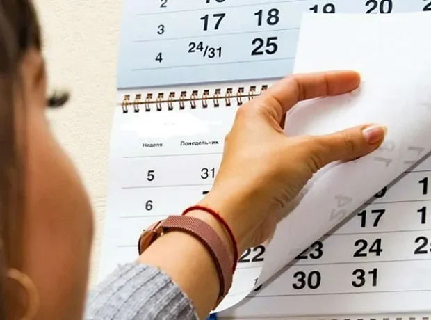 image-01kh8ahef2dbffc67tts1ner34-main