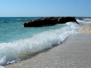 image-01khtz796baznte7z3wyn4dfw3-large