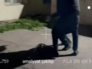 image-01kj7nj54jzxdzqy0pexgkq4hg-large