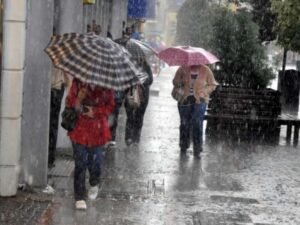 image-1477632547_14489605122454132678_554x360yuy