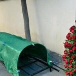 image-173177880218166602186738d8f243c19