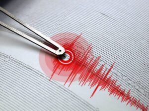 image-1735061444_zelzel_1768061792