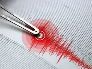 image-1735061444_zelzel_1770558845-620x375