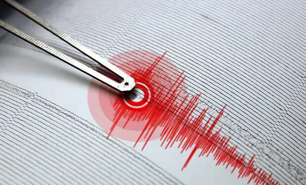 image-1735061444_zelzel_1770558845-620x375