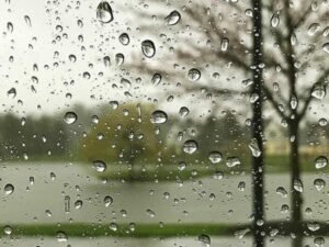 image-1760430153_1760345399_1639386988_yagis5