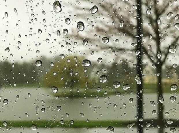 image-1760430153_1760345399_1639386988_yagis5