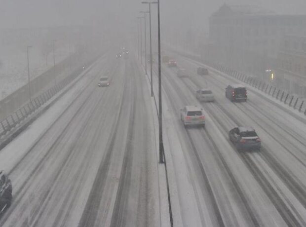 image-1770004449_qarli9888-1