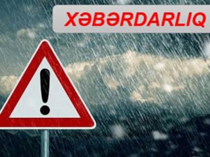 image-17710879164904658708_1200x630