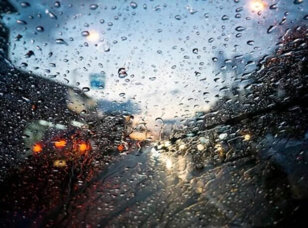 image-1771795660_1771768947