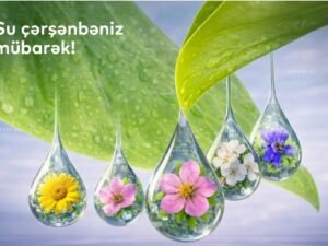 image-1771877391_screenshot_18