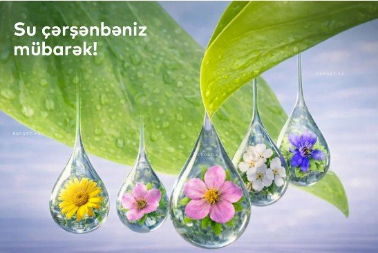 image-1771877391_screenshot_18